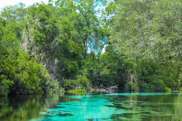 Weeki Wachee Springs River with blues and greens