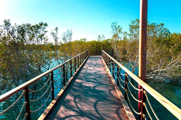 Mangrove National Park, Abu Dhabi