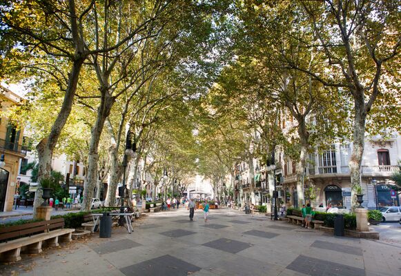 Passeig des Born, Palma, Majorca, Spain