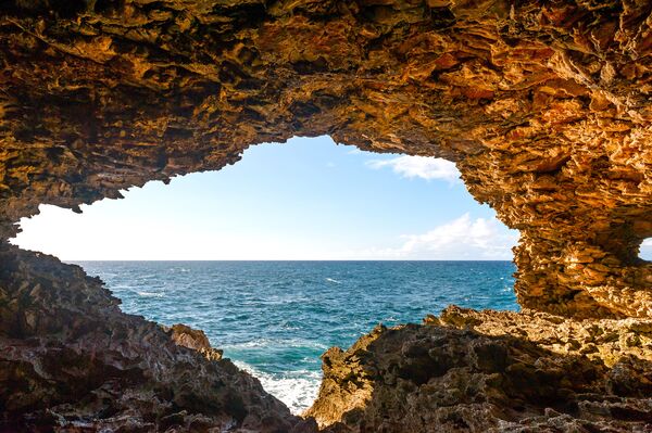 Animal Flower Cave, Barbados