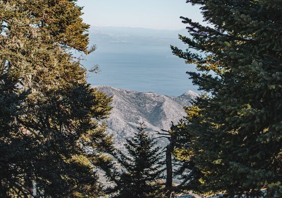 Mt. Ainos, Kefalonia, Greece