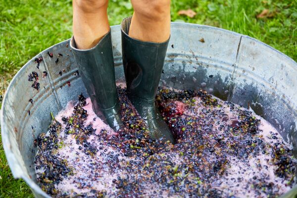 Grape stomping