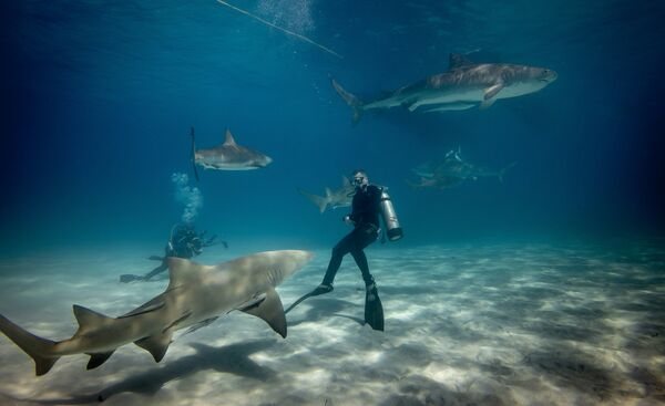 Thunderball Grotto / Lucayan National Park / Stuart's Cove