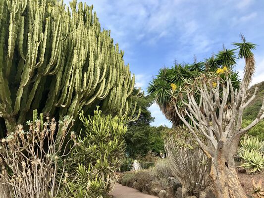 Cactualdea Park, Gran Canaria.