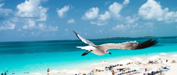 Thunderball Grotto / Lucayan National Park / Stuart's Cove