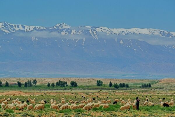 Atlas Mountains