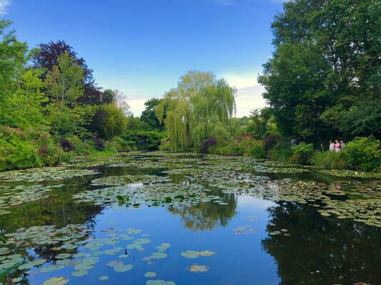 Monet's Garden / Versailles / Mont Saint-Michel